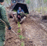 Добрянские лесники отмечают профессиональный праздник - Газета Зори ПЛЮС