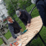 YOCwUFVObcyLa4BVOom6AWRdYcNzysCIO0q26-La8I53OxJisq0Ux2oEoeZ1cbFP8C0pTIVws8Anv_nFdcXA1rNn.jpg - Администрация Добрянского района