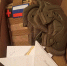Посылки Землякам - Газета Зори ПЛЮС