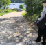 В сад – с риском - Газета Зори ПЛЮС