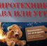 Ребенок пострадал из-за петарды - Газета Зори ПЛЮС