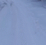 «Трактор не доехал» - Газета Зори ПЛЮС